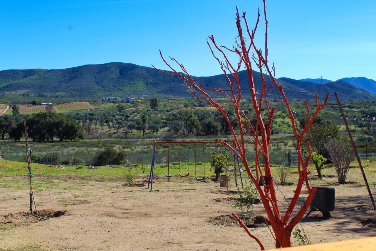 Rancho Matalote En Valle De Guadalupe Bagian luar foto
