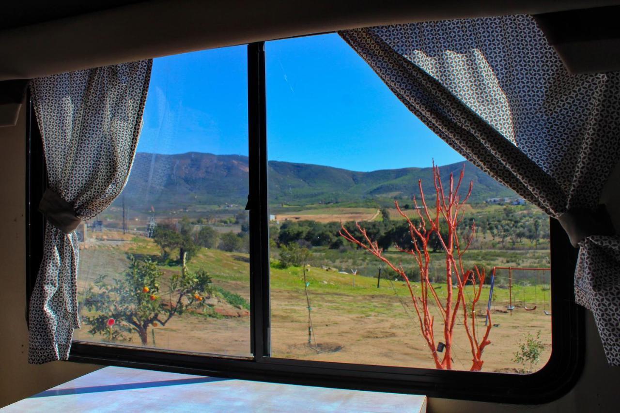 Rancho Matalote En Valle De Guadalupe Bagian luar foto