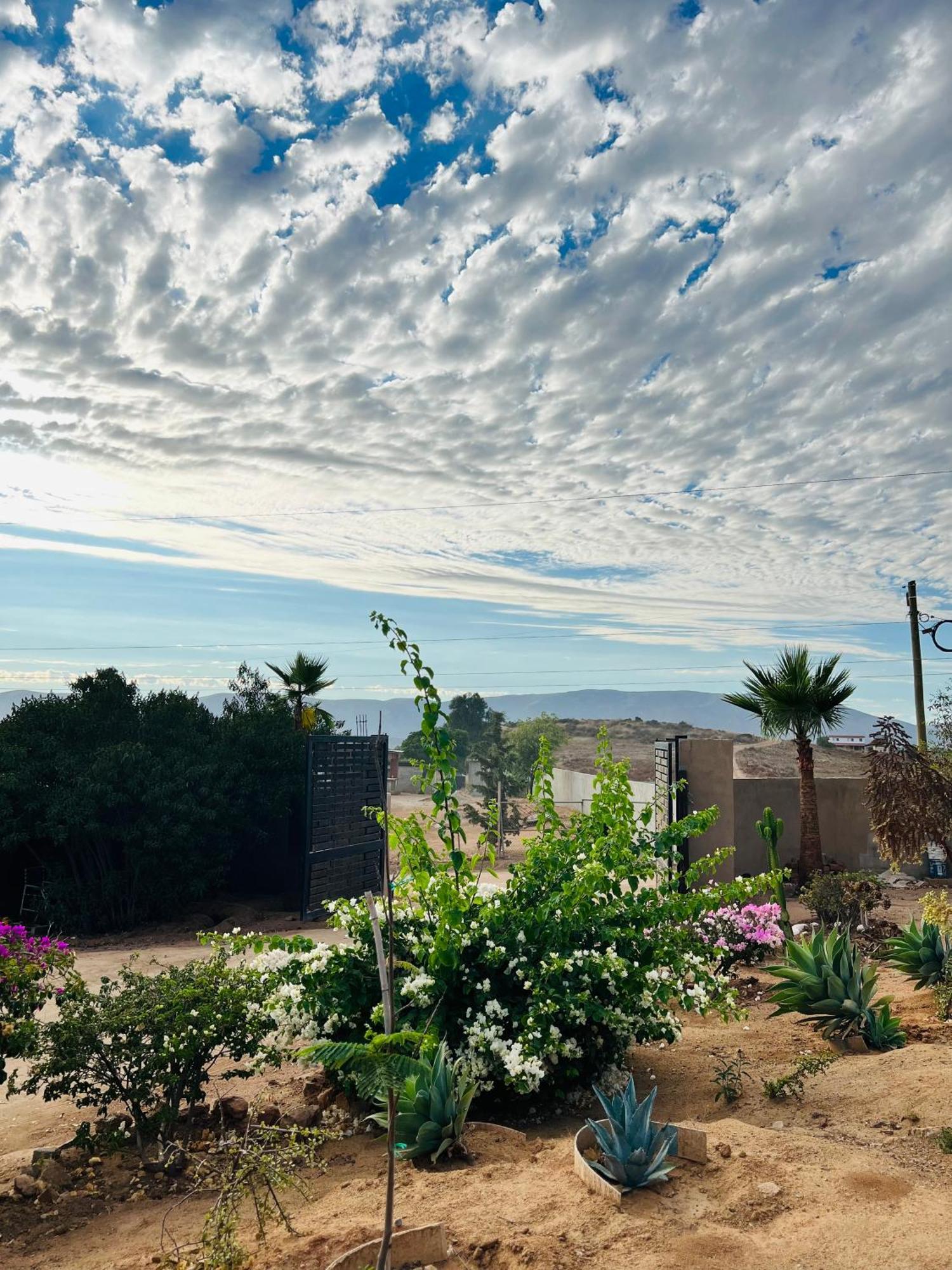 Rancho Matalote En Valle De Guadalupe Bagian luar foto